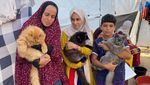 Kucing-kucing Ini Jadi Pelipur Lara Warga di Gaza