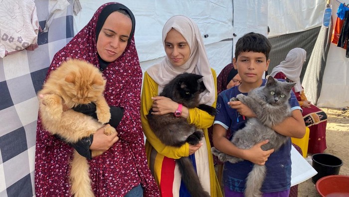 Kucing-kucing Ini Jadi Pelipur Lara Warga di Gaza Displaced Palestinians, who fled their homes due to Israeli strikes, carry cats belonging to the Harb family who survived Israeli airstrikes, at a tent camp in Khan Younis in the southern Gaza Strip November 8, 2023. REUTERS/Arafat Barbakh TPX IMAGES OF THE DAY