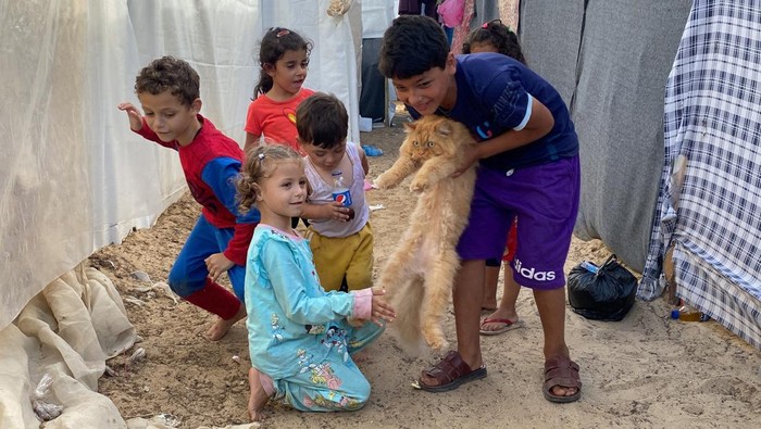Kucing-kucing Ini Jadi Pelipur Lara Warga di Gaza Displaced Palestinians, who fled their homes due to Israeli strikes, carry cats belonging to the Harb family who survived Israeli airstrikes, at a tent camp in Khan Younis in the southern Gaza Strip November 8, 2023. REUTERS/Arafat Barbakh TPX IMAGES OF THE DAY