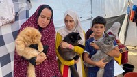 Ada beberapa ekor kucing yang selamat dari serangan Israel ikut mengungsi bersama tuan mereka.  