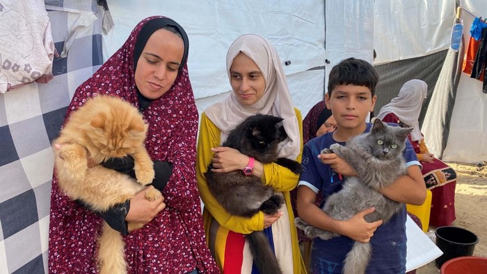 Displaced Palestinian children, who fled their homes due to Israeli strikes, play with one of the cats belonging to the Harb family who survived Israeli airstrikes, at a tent camp in Khan Younis in the southern Gaza Strip November 8, 2023. REUTERS/Arafat Barbakh