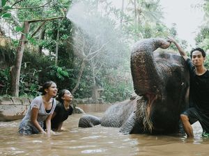 Lombok Wildlife Park: Lokasi, Daya Tarik, Aktivitas Seru, Harga Tiket