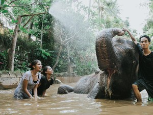 Lombok Wildlife Park: Lokasi, Daya Tarik, Aktivitas Seru, Harga Tiket