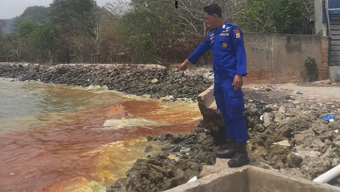 Penampakan limbah minyak mentah yang mencemari pesisir pantai Lampung