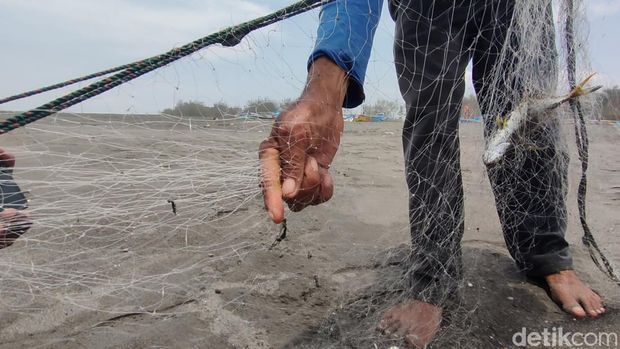 Penampakan material misterius diduga aspal di Pantai Congot, Kulon Progo, Jumat (10/11/2023).