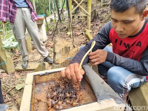 Ke Gunung Padang Nggak Cuma Trekking, Berikut Aktivitas Menariknya