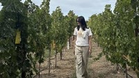 Mengunjungi winery Napa Valley di San Francisco, Amerika Serikat, Ririn tak lewatkan ambil foto estetik. Ia berjalan di tengah-tengah perkebunan anggur.  Foto: Instagram ririnekawati