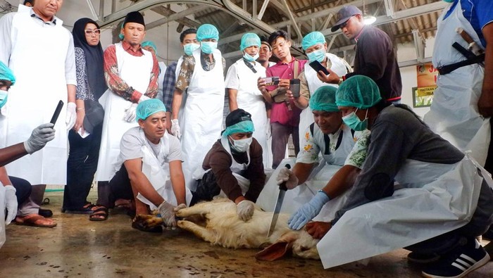 Sejumlah Juleha mengikuti pelatihan dan sertifikasi Juleha bagi pemotong hewan di RPH dan Pasar Tradisional