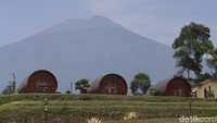 detikcom bersama BRI mengadakan program Jelajah Desa BRILiaN yang mengulas potensi dan inovasi desa di Indonesia baik dari segi perkembangan ekonomi, infrastruktur, hingga wisata serta dampaknya terhadap masyarakat lokal maupun nasional. Untuk mengetahui informasi program Desa BRILiaN lebih lanjut, ikuti terus informasinya hanya di jelajahdesabrilian.detik.com!  