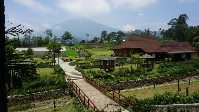 Transaksi QRIS di kawasan wisata DLas lereng Gunung Slamet, Purbalingga.