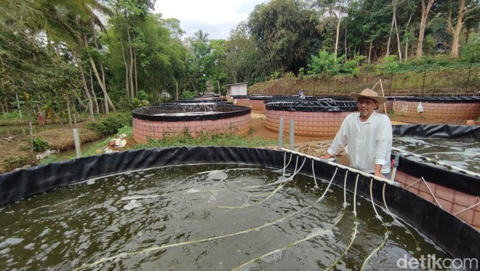 Ateh dan lokasi budi daya ikan nila yang dikelolanya di Ciamis.