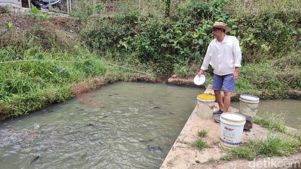 Ateh dan lokasi budi daya ikan nila yang dikelolanya di Ciamis.