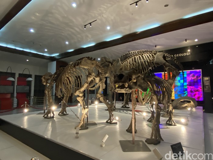 Day & Night at the Museum di Museum Geologi, Kota Bandung