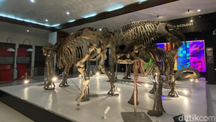 Day & Night at the Museum di Museum Geologi, Kota Bandung
