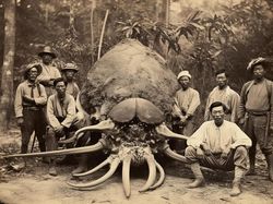 Foto Misterius Bangsawan Thailand Abad ke-19 Berburu Monster