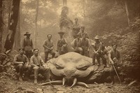 Foto bangsawan Thailand berburu monster