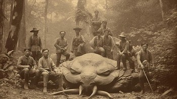 Para pemburu menembakkan senapan mereka, tapi pelurunya sepertinya tidak berpengaruh pada binatang itu. Ia melanjutkan serangannya, merobohkan pepohonan dan batu-batu besar yang dilewatinya. Kelompok itu bergegas menghindari binatang itu, tetapi ia tidak henti-hentinya, tanduknya yang besar membelah udara Foto: Dautruongtoanhoc