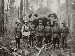 Foto Misterius Bangsawan Thailand Abad ke-19 Berburu Monster