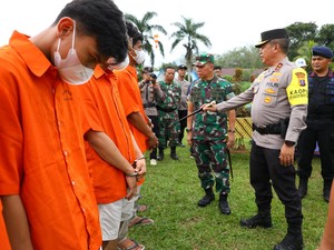 Polisi Bongkar Ladang Ganja 150 Hektare di Madina, Pemilik-Kurir Ditangkap