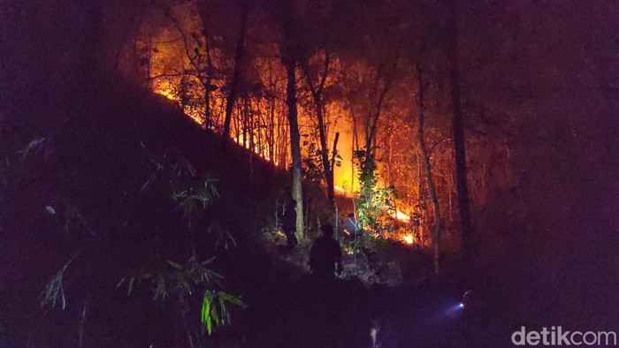 kebakaran hutan di tulungagung