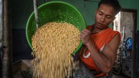Perajin sedang memproduksi tahu di Palu, Sulawesi Tengah, Jumat (10/11/2023).  