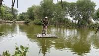 Hasil tangkapannya tak langsung dibawa ke pasar, mereka akan memberikannya kepada pengepul yang sudah siap menunggu saat mereka tiba di lokasi sandaran kapal.