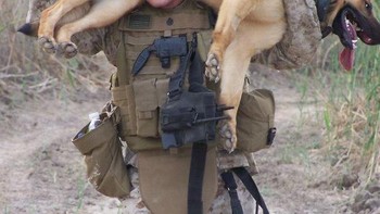 Membawanya kembali setelah melakukan pencarian selama 2 jam yang melelahkan Foto: Boredpanda