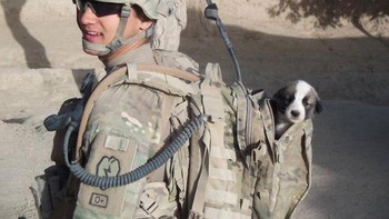 Tentara bersama anjing yang ia selamatkan. Foto: Boredpanda