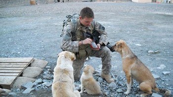 Waktunya memberi mereka makan. Foto: Boredpanda