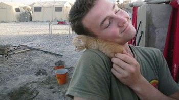 Si anak kucing yang bikin nyaman. Foto: Boredpanda