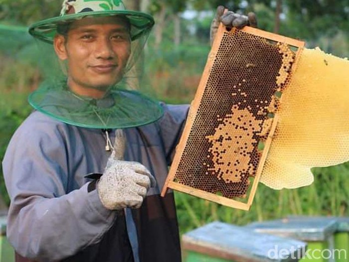 Muhammad Wiji Supriono ketika memamerkan salah satu panenan madu di Dusun Karang Kendal, Desa Bengking, Kecamatan Jatinom, Klaten, Sabtu (11/11/2023).