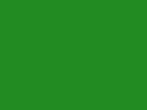 Warna Hijau Hijau Emerald.