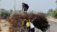 Warga Palestina mencari ranting pohon di Khan Younis, Gaza, Palestina, 5 November 2023.