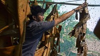 Budidaya maggot di peternakan tersebut memanfaatkan limbah sampah organik hingga satu ton yang diambil dari pasar tradisional sebagai solusi untuk mengurangi sampah.