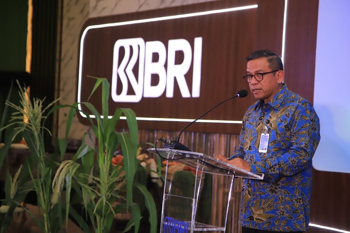 Direktur Bisnis Wholesale dan Kelembagaan BRI Agus Noorsanto