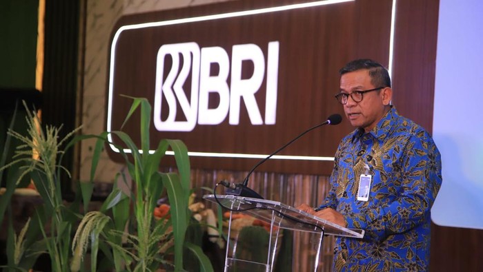 Direktur Bisnis Wholesale dan Kelembagaan BRI Agus Noorsanto