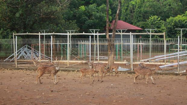 Kandang Penangkaran Rusa Unhas Makassar