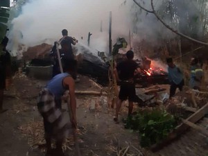 Dua Sapi di Lamongan Mati Terpanggang Saat Kandangnya Dilalap Si Jago Merah