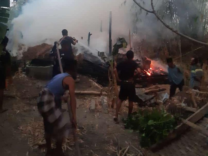 Kandang Sapi Ludes di Lamongan Terbakar