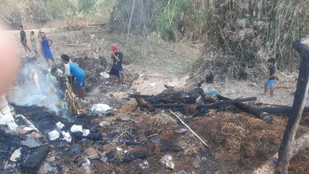 Kandang Sapi Ludes di Lamongan Terbakar