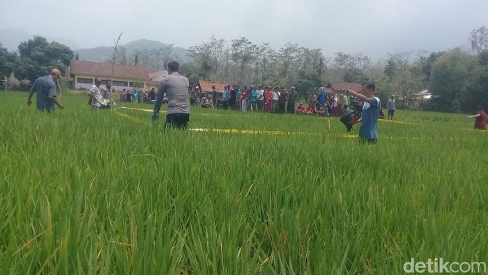 Pembunuhan petani cabai Probolinggo