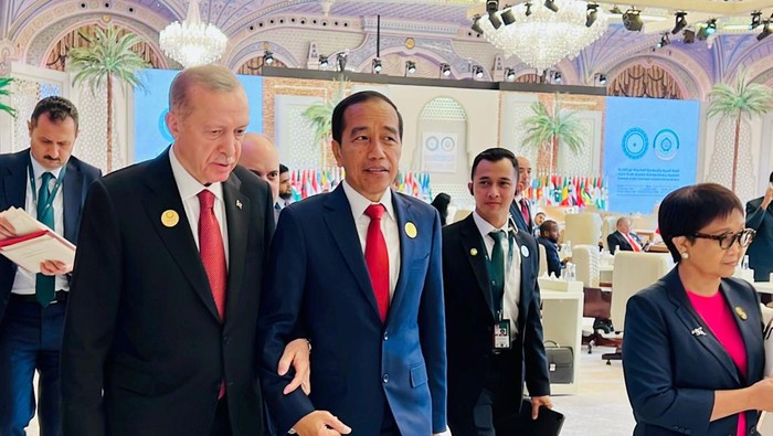 Presiden Jokowi dan Presiden Turki Recep Tayyip Erdogan di sela-sela KTT OKI (dok. Ist)