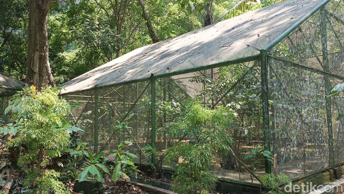 Taman Konservasi Kupu-Kupu Bantimurung Maros