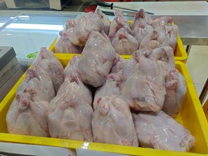 Merapat! Ayam Broiler Murah Banget di Transmart Full Day Sale