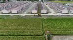 Bukan Sulap Bukan Sihir, Sawah Berubah Jadi Perumahan