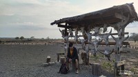 Bagi kalian yang takut dengan hewan jangan khawatir. Karena hewan yang ada di Taman Nasional Baluran ini tidak galak kok.
