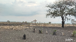 Baluran, Little Africa in Java, yang Wajib Kalian Kunjungi