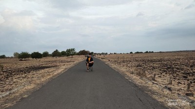 Baluran, Little Africa in Java, yang Wajib Kalian Kunjungi