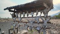 Banyak juga spot foto yang bisa kalian temui di Taman Nasional Baluran.