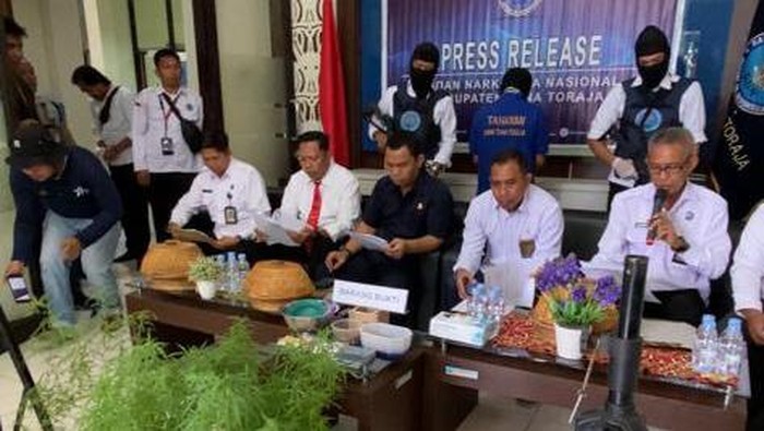 BNNK Tana Toraja, Sulsel merilis penangkapan pria yang menanam ganja di dalam rumahnya.